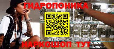 прущие грибы Наро-Фоминск
