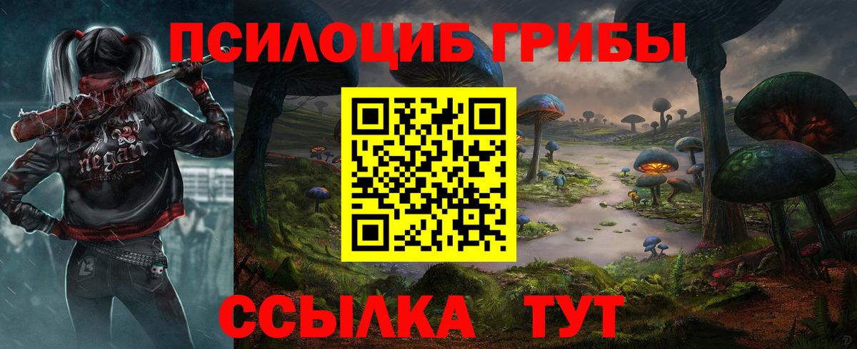 Пугачёв  Псилоцибиновые грибы мухоморы  Вход с VPN 